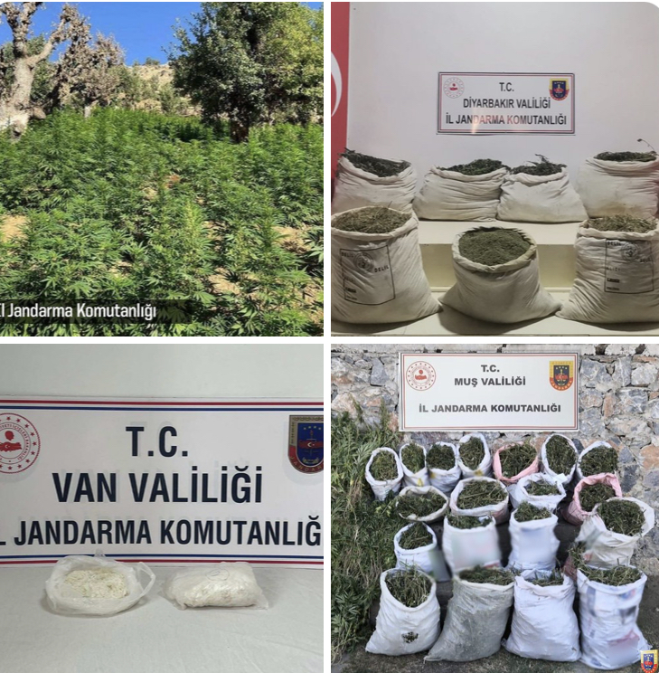 Jandarma’dan 4 İlde uyuşturucu operasyonu