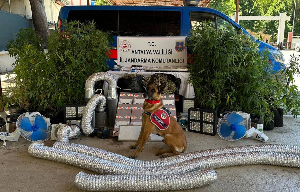 JANDARMA UYUŞTURUCU TACİRLERİNE GEÇİT VERMİYOR