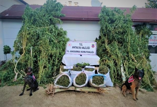 Antalya’da Jandarmadan uyuşturucu operasyonu