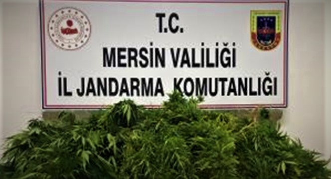 Mersin'de uyuşturucu operasyonu