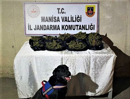 Manisa'da 6 kilo esrara ele geçirildi