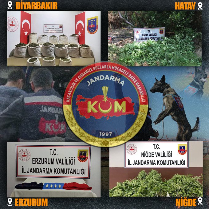 Jandarma’dan 4 ilde uyuşturucu operasyonu