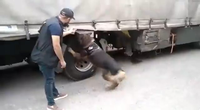 Gaziantep'te Kaçakçılık operasyonu